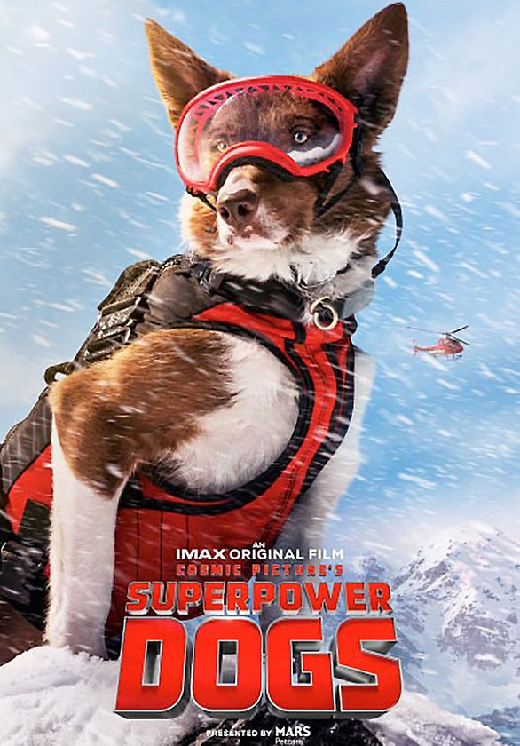 Filmposter med en hund i skidglasögon och orange väst i alpin miljö och texten Imax original film, Superpower dogs.