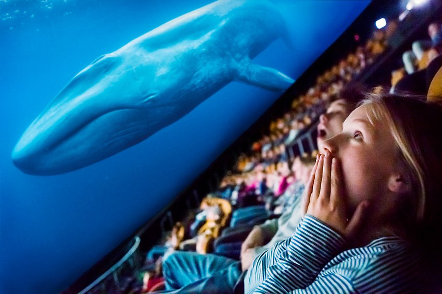 Elever ser filmen blåvalar på Cosmonova.