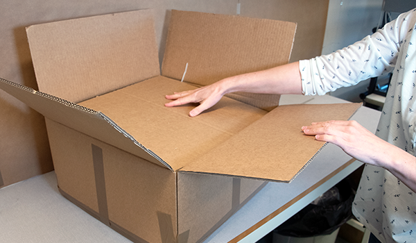 Förpackningsinstruktioner för hur sälprover packas i plastpåsar och kartonger för en säker frakt.