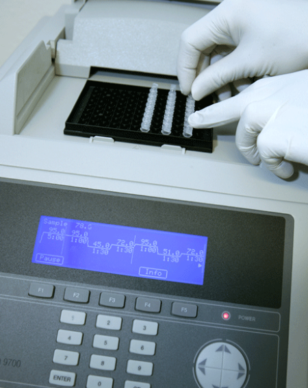 PCR-maskin. Foto: Martin Irestedt