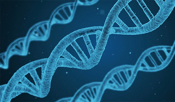 Tre DNA-spiraler.