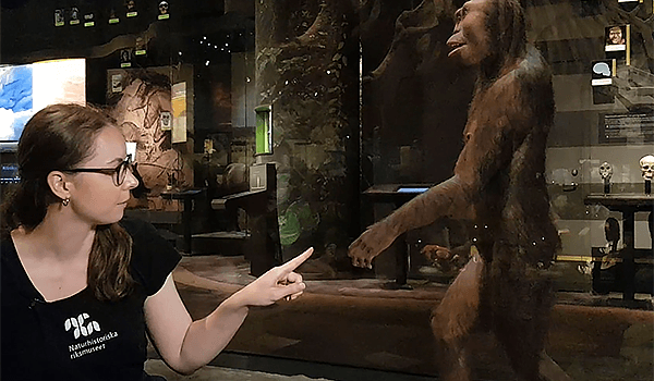 En kvinna pekar på en modell av en förhistorisk människa i utställningsmiljö.