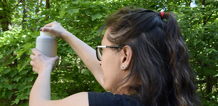 En kvinna vittjar en insektsfälla.