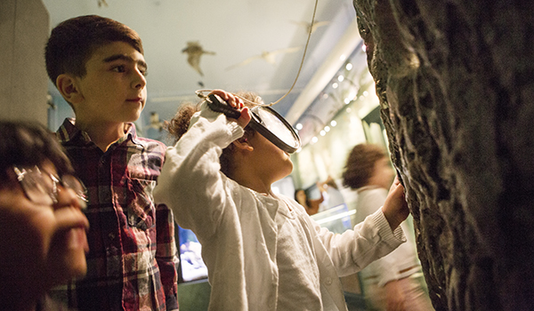Flicka tittar i förstoringsglas i utställningen LIvets mångfald. Foto: Martin Stenmark