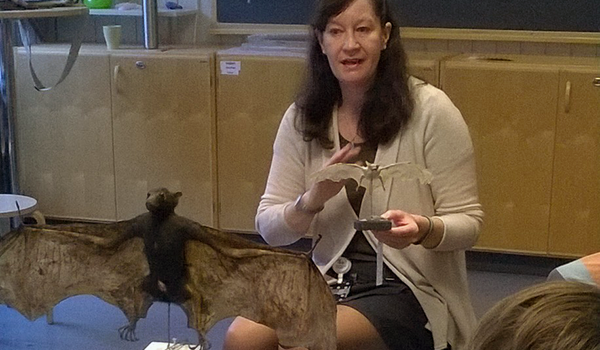Forskaren Daniela Kaltoff visar klubbmedlemmar i Museosaurien fladdermöss.