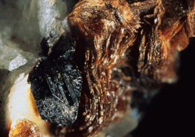 En 2.5 mm stor, svart kristall av armangit tillsammans med ett okänt brunt, glimmerlikt mineral (NRM # 19883575). . Foto: Michael P. Cooper.