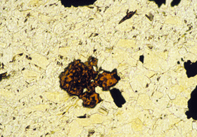 Mikroskopbild av hiärneit i typprovet (NRM #19920766) från Långban. Foto: Dan Holtstam.