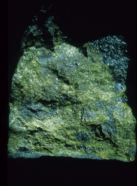 Gräsgrön jagoit på sprickyta i melanotekit. (NRM #19741243). Foto: Erik Jonsson.