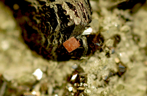 Rödbrun, perfekt utbildad kristall av kainosit (ca 1 mm stor) på svart magnetit från Nordmark, Värmland (NRM #18970078).