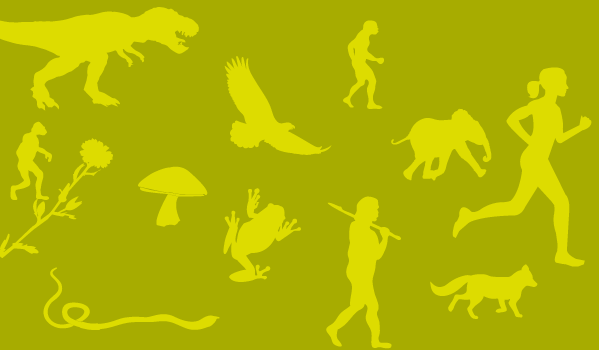 En grön platta med siluetter av dinosaurier, människor, träd och djur.