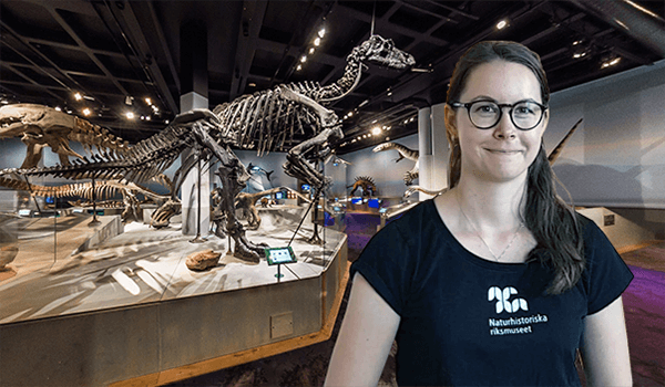 Museipedagog i utställningen Fossil och evolution. I bakgrunden syns skelett av dinosaurier.