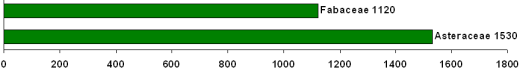 Number of type specimens per family from the type collections of South and Central America, Caribbean and Antarctica. Only the ten families with the highest number of specimens are shown.  