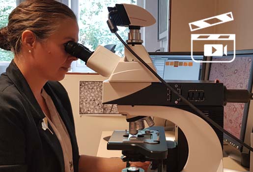Kvinnlig forskare tittar i ett mikroskop.