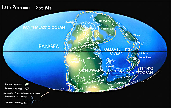 Karta Permperioden. Karta från C. R. Scotese: Paleomap project, www.scotese.com  