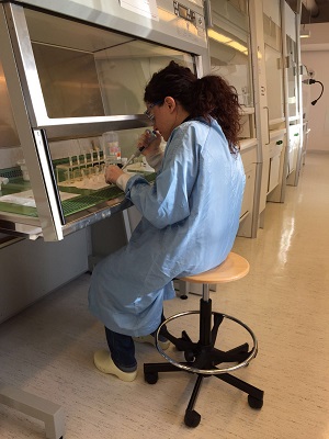 Woman working in lab, sitting