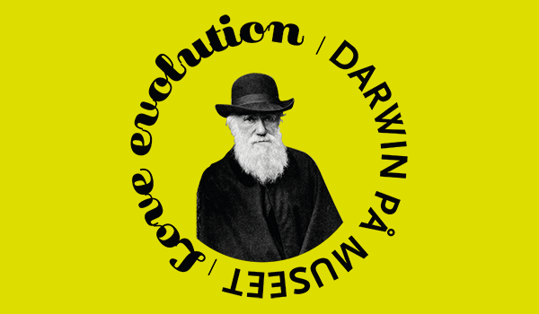 Skylt med Darwin med texten Darwin på museet.