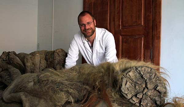 Love Dalén med mammuten Yuka, vars arvsmassa analyserades i studien. Mammuten Yuka hittades i Sibirien 2010. Foto: Ian Watts.
