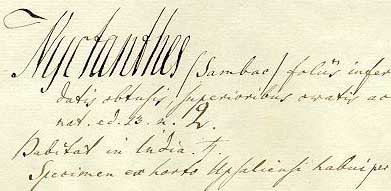 Exempel på Lars Jonasson Montins handstil från föremål S09-18585 i Linnéherbariet vid Naturhistoriska riksmuseet (S-LINN).
