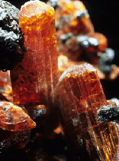 Två strierade kristaller av richterit. Foto Michael P. Cooper.