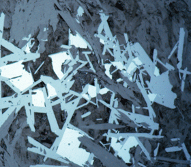Rinmanit (ljusgråa, långsträckta kristaller) tillsammans med franklinit 
(vit) i polerat prov (NRM #20000160). Foto: Dan Holtstam.
