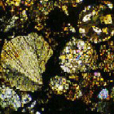 Mikroskopbild av kondritisk stenmeteorit. Foto: Erik Jonsson  