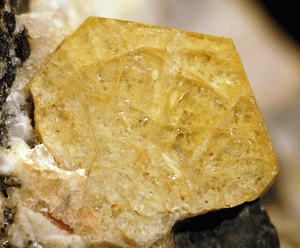 Kristall av nordenskiöldin i holotypprovet (NRM #g30699) Foto: Jaana Vuorinen.