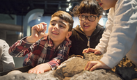 Barn i utställnigen Fossil och Evolution.