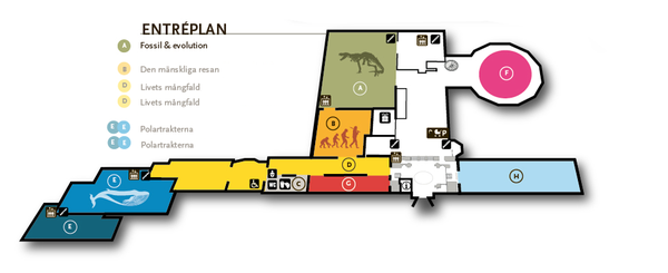 Karta för att hitta till utställningen Fossil och evoulution