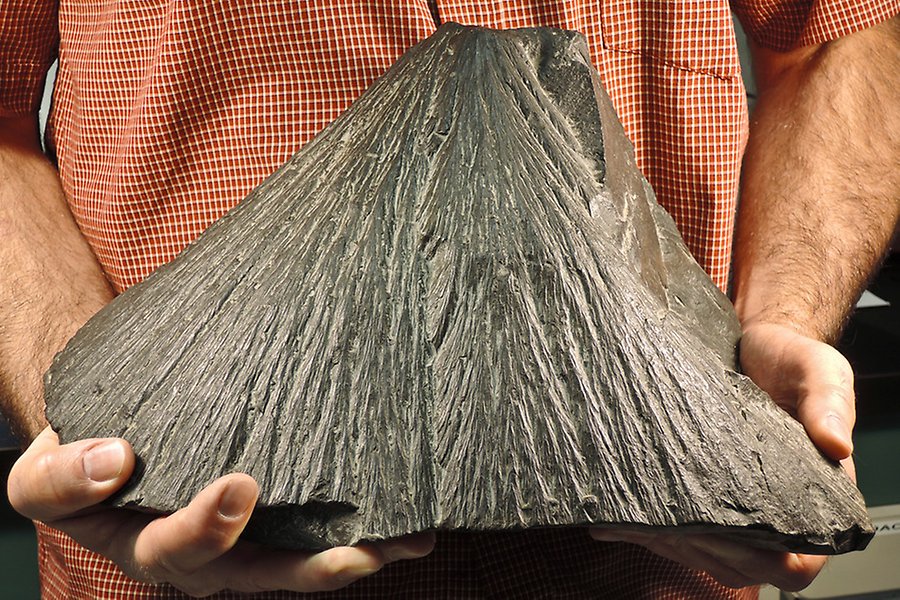 Slagkägla (shatter cone) bildad vid meteoritnedslag. Två händer håller i en kon.